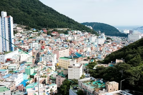 화환 무료배송